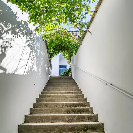 Azzurra 4* Vico Equense