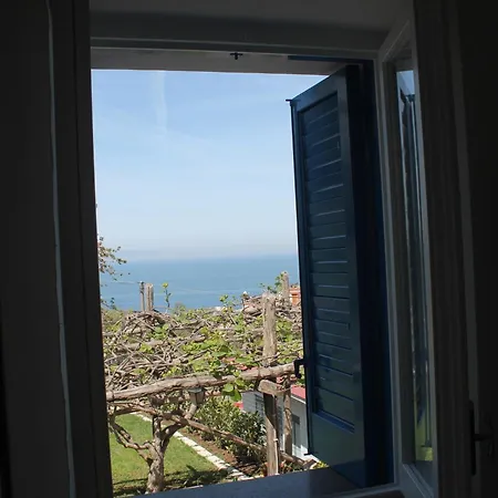 بيت ضيافة Azzurra فيكو إيكوينس